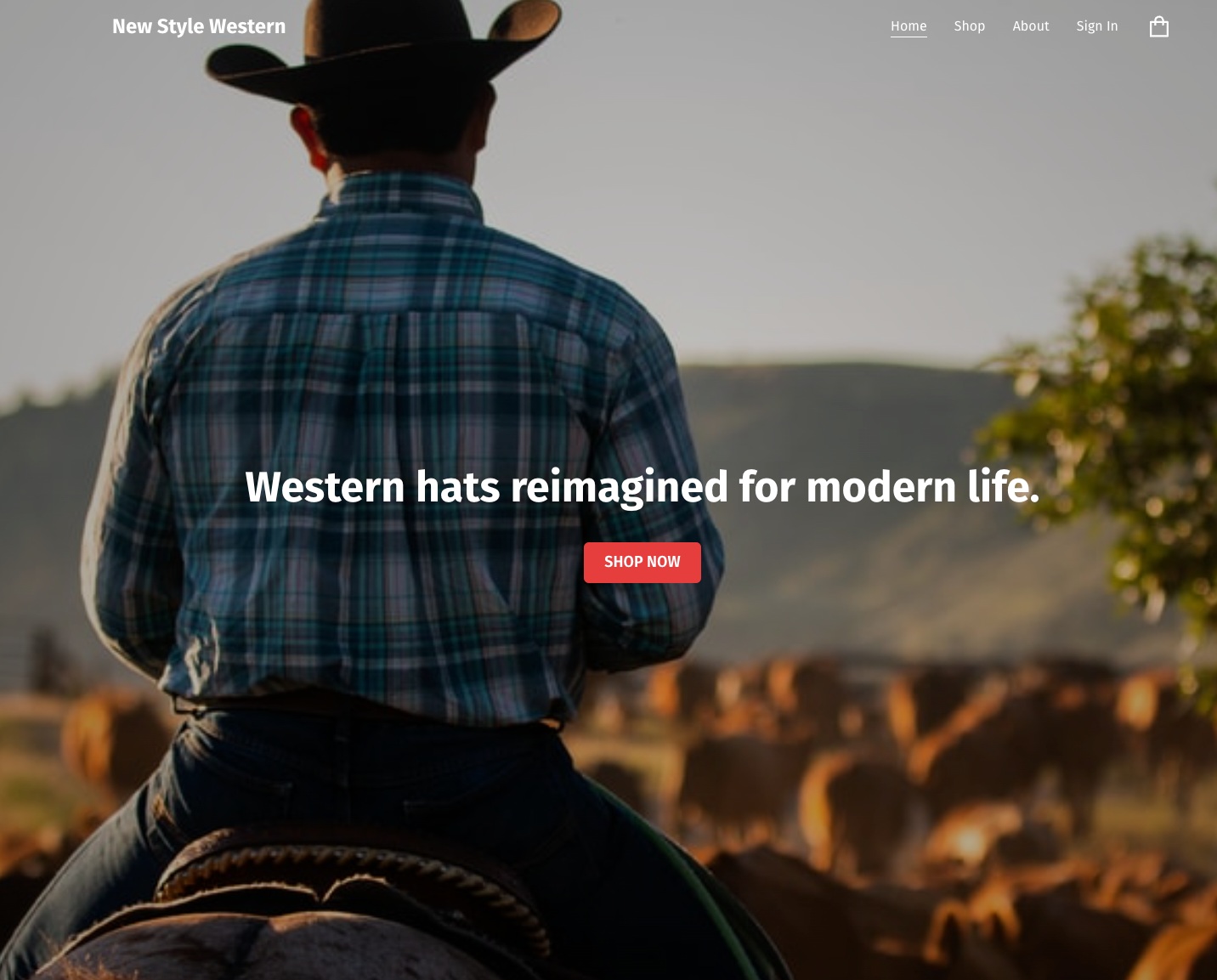 Preview of New Style Western